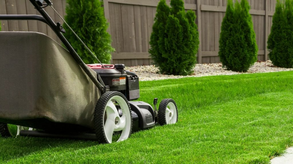 Lawn Care & Maintenance