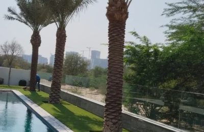 whatsapp image 2026 01 21 at 12.39.25 pm (1)